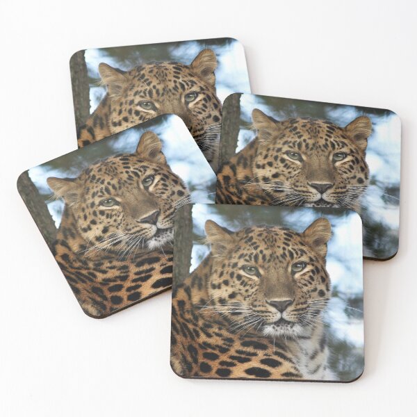 Item preview, Kaia designed and sold by Krys Bailey.