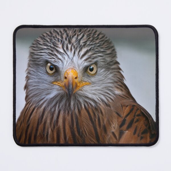 Item preview, Black Kite designed and sold by Krys Bailey.