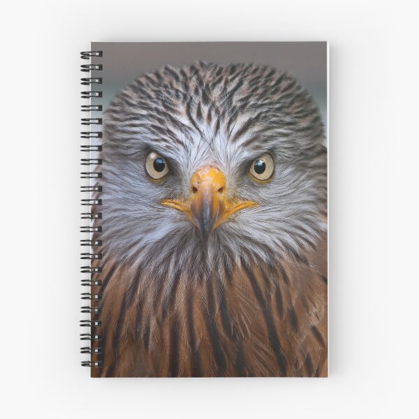 Item preview, Black Kite designed and sold by Krys Bailey.