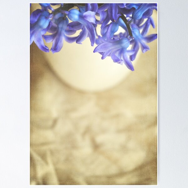 Item preview, Bella Blue designed and sold by Lyn  Randle.