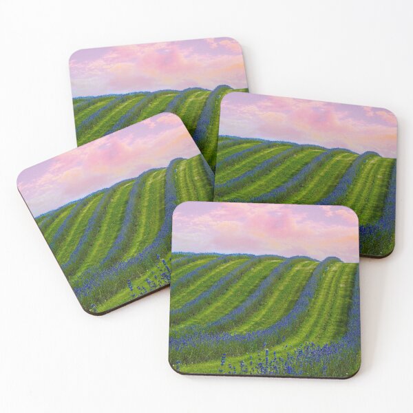 Item preview, Lavender fields. Summer sunset landscape on Valensole plateau designed and sold by ImgPrint.