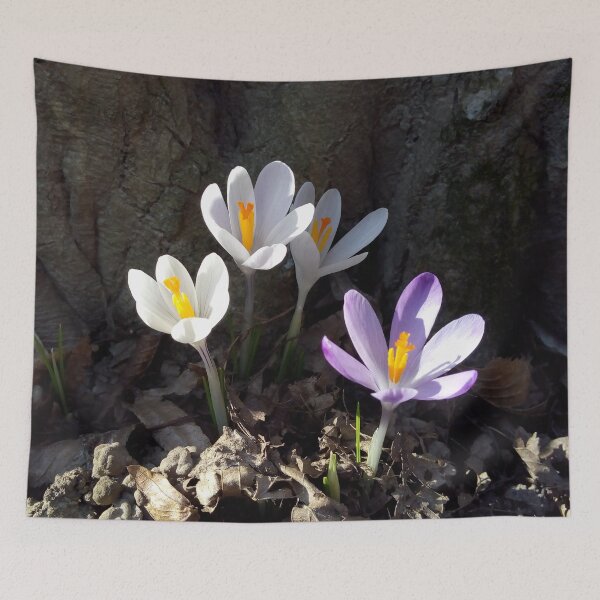 Item preview, Crocus flower field 6 original artwork designed and sold by paragonDesign28.