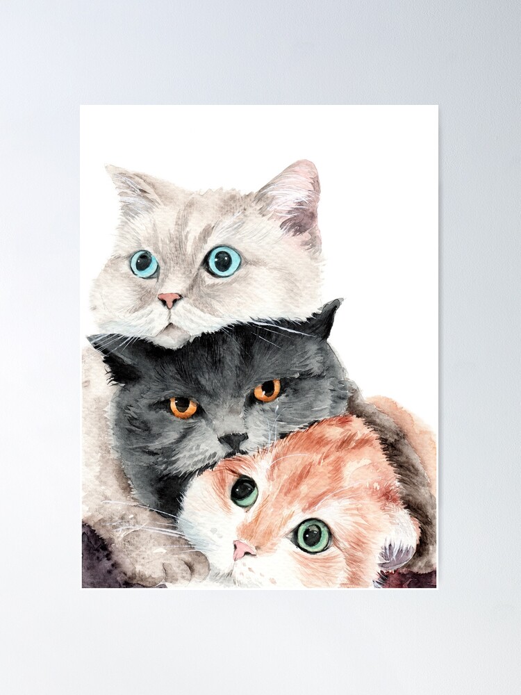 Three cute cats cheap
