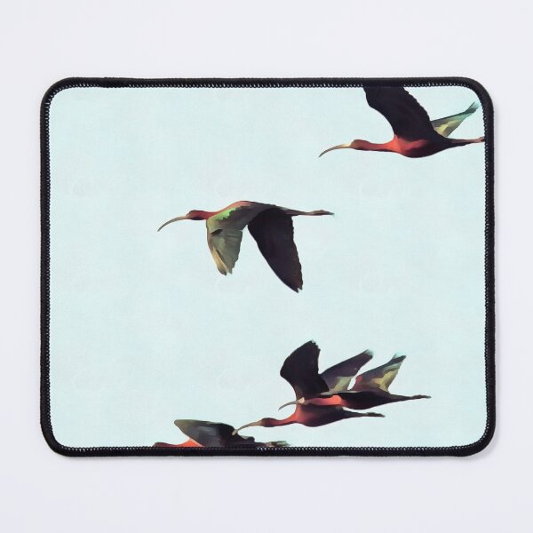 Item preview, A Wedge of Ibises In Flight designed and sold by taiche.