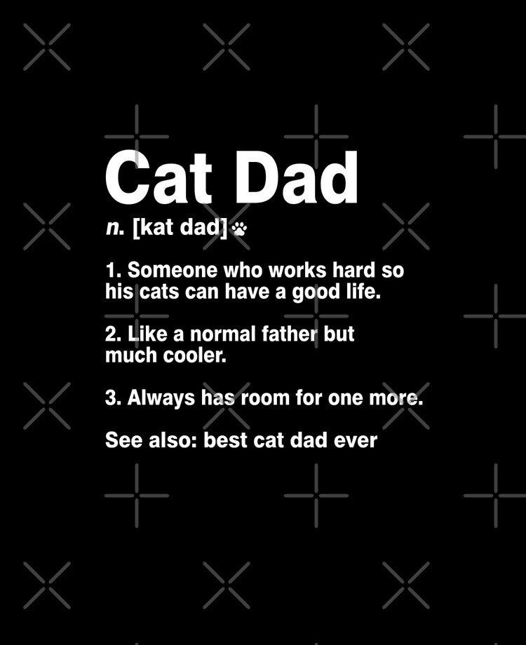 Cat Dad Definition Funny Meaning Cat Lover Father Gift Ipad Case Skin For Sale By Japaneseinkart Redbubble