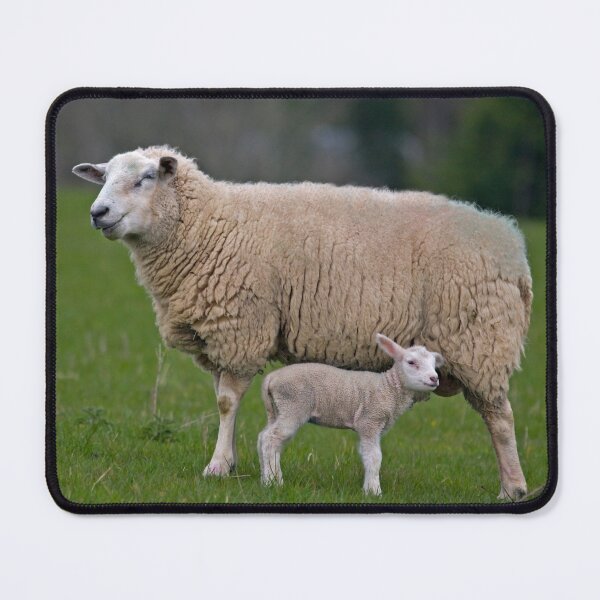 Item preview, Sheep and Lamb designed and sold by Krys Bailey.