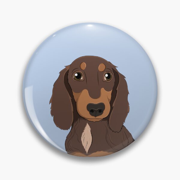 Item preview, Copy of Cute chocolate and tan long hair Dachshund - sausage dog, brown dog, miniature sausage dog, dapple dog, red dapple, chocolate dapple designed and sold by SoohieArt.