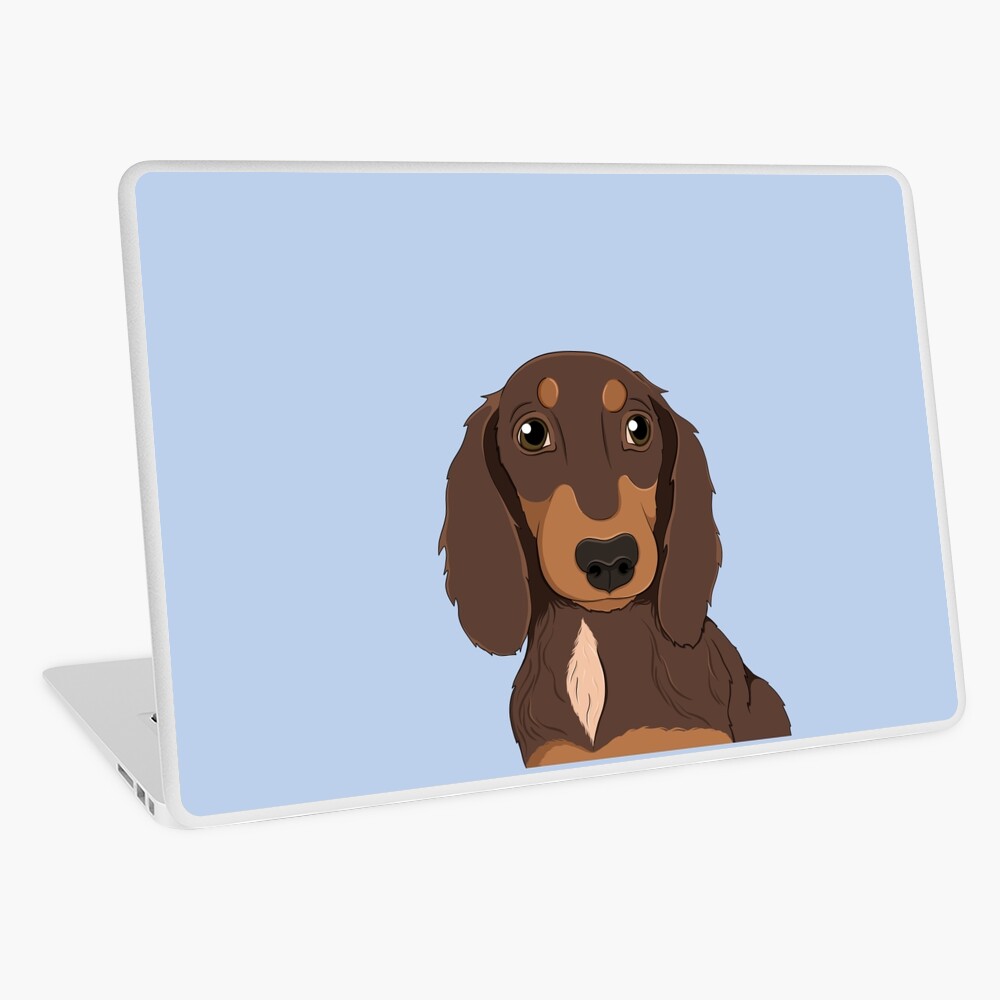 Copy Of Cute Chocolate And Tan Long Hair Dachshund - Sausage Dog, Brown  Dog, Miniature Sausage Dog, Dapple Dog, Red Dapple, Chocolate Dapple