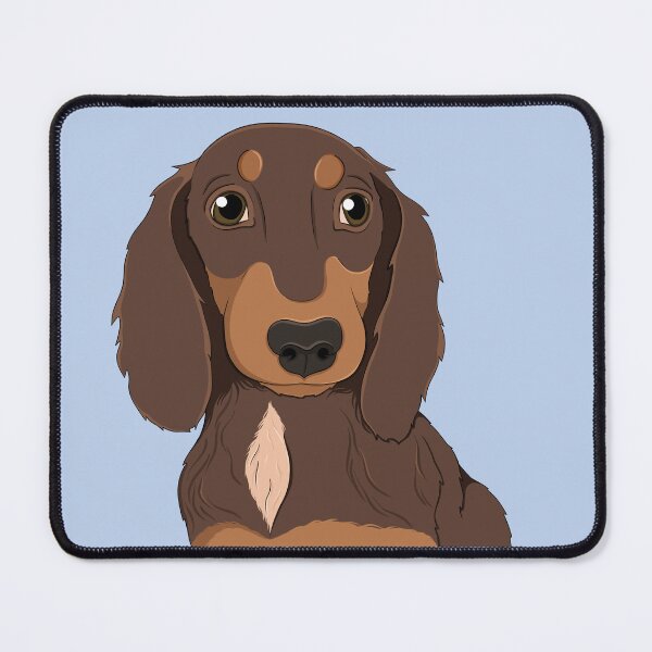 Item preview, Copy of Cute chocolate and tan long hair Dachshund - sausage dog, brown dog, miniature sausage dog, dapple dog, red dapple, chocolate dapple designed and sold by SoohieArt.