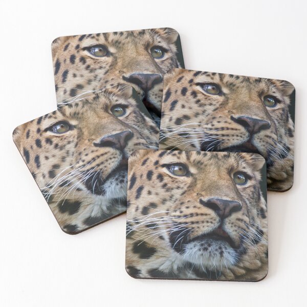 Item preview, How's this Pose? designed and sold by Krys Bailey.