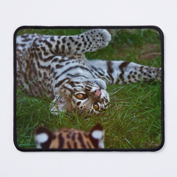 Item preview, Just Another Cat (Ocelot) designed and sold by Krys Bailey.