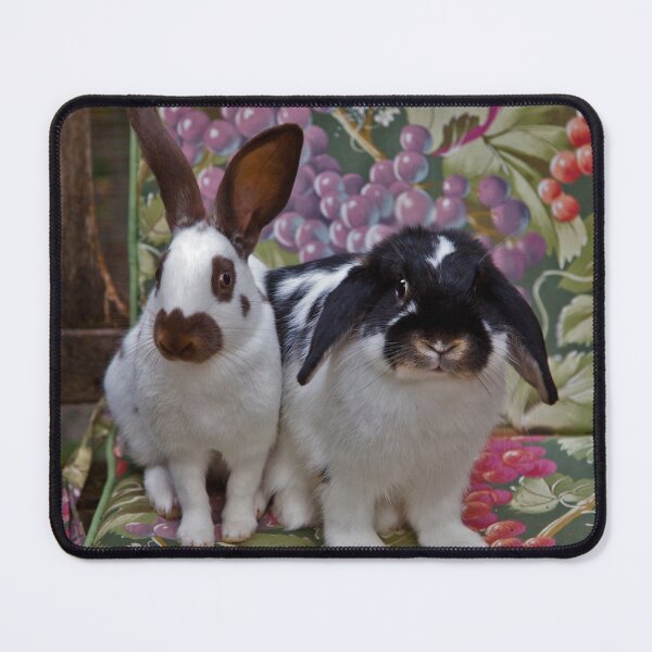 Item preview, Holly and Rowan designed and sold by Krys Bailey.
