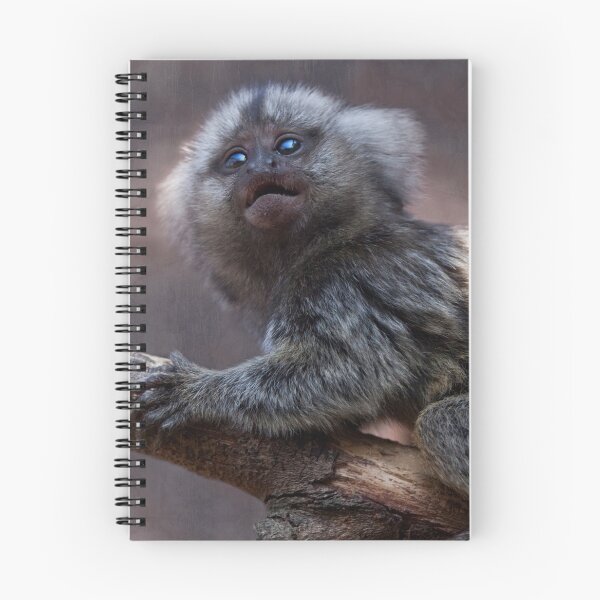 Item preview, Baby Marmoset designed and sold by Krys Bailey.