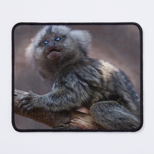 Item preview, Baby Marmoset designed and sold by Krys Bailey.