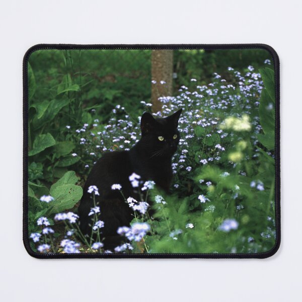 Item preview, Black tomcat Paule designed and sold by Gourmetkater.