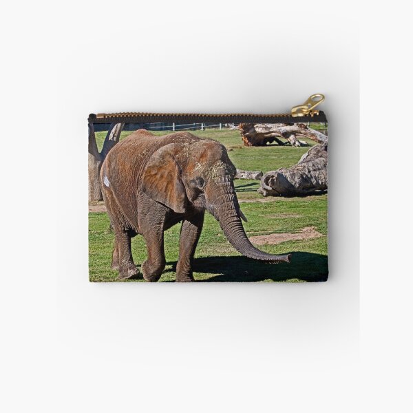 Item preview, Cuddles Searching For Snacks designed and sold by miroslava.
