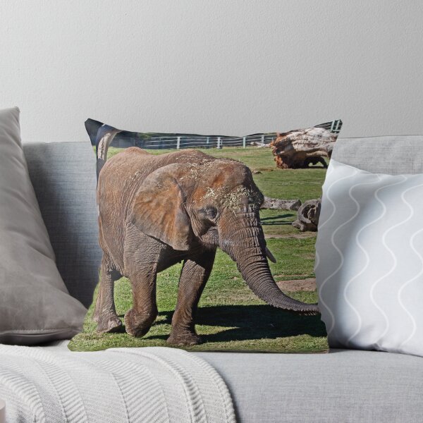 Item preview, Cuddles Searching For Snacks designed and sold by miroslava.