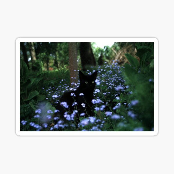 Schwarzer Kater Paule im Blumenbeet Sticker