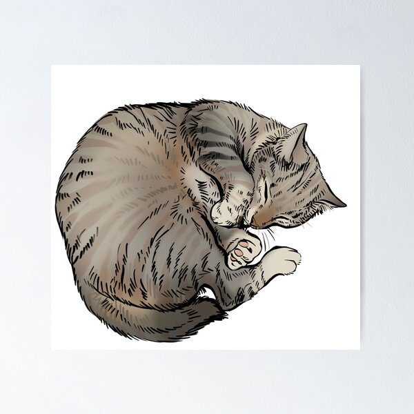 Artikelvorschau, Tabby-Creme-Katze schläft entworfen und verkauft von Petcetera.