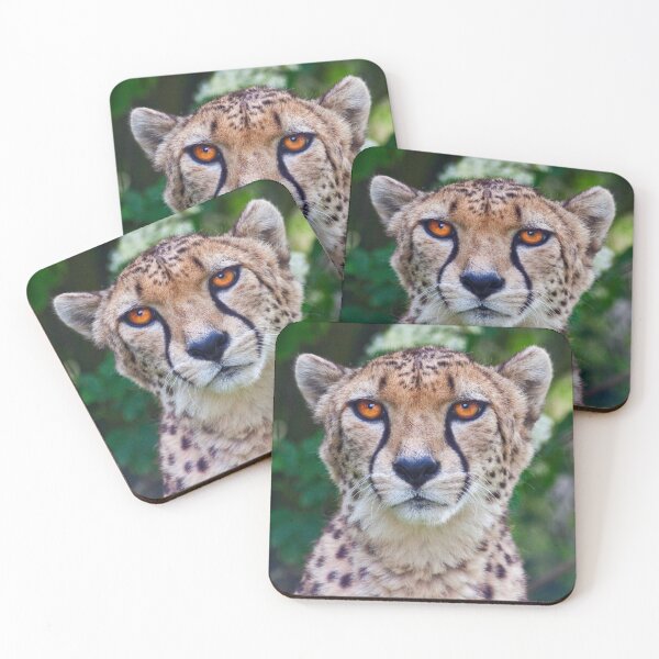 Item preview, My, what big eyes I have! designed and sold by Krys Bailey.