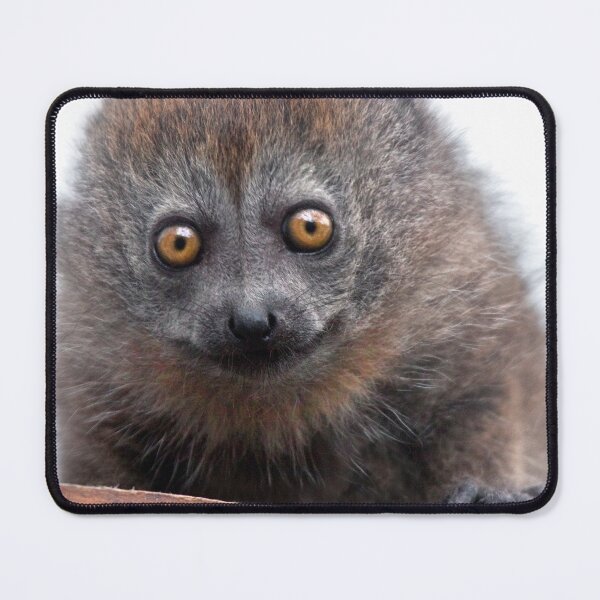 Item preview, Baby Lemur designed and sold by Krys Bailey.