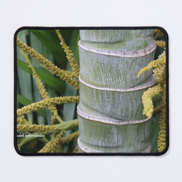 Item preview, Plant in Vietnam designed and sold by Elizabeth Cartier-Giordano.