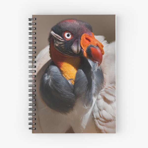 Item preview, Am I a Bling Bird or What? designed and sold by Krys Bailey.