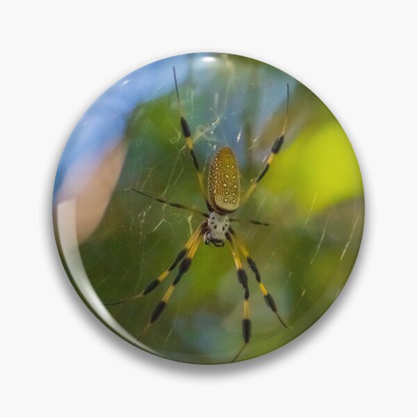 Artikelvorschau, Goldene Seiden-Orbweaver-Spinne entworfen und verkauft von TinyDinoDesigns.