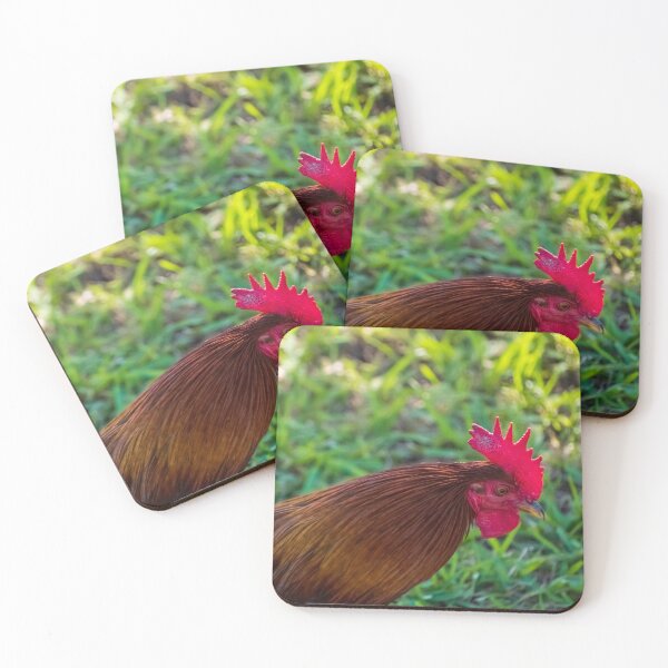 Item preview, Intense Chicken designed and sold by TinyDinoDesigns.