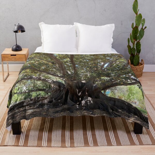 Item preview, Moreton Bay Fig (Australian Banyan Tree), Hyde Park, Western Australia  designed and sold by NimbleFish.