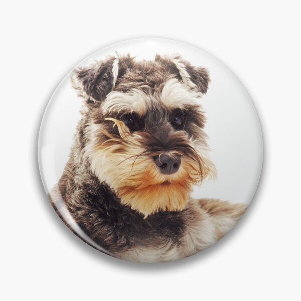 Item preview, Schnauzer, perro de pura raza designed and sold by ScienceSource.