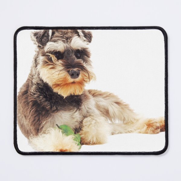 Item preview, Schnauzer, Purebred Dog designed and sold by ScienceSource.