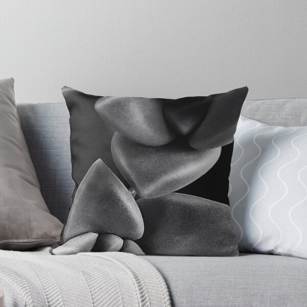 Item preview, Black and white succulents designed and sold by KatiHatisART.