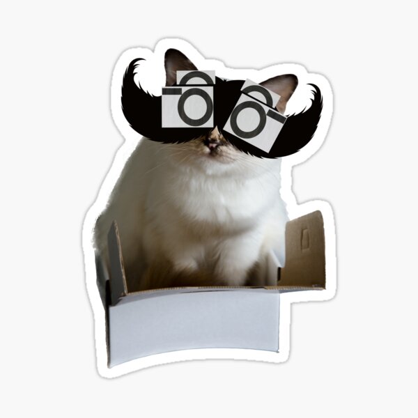 Chichi Sticker