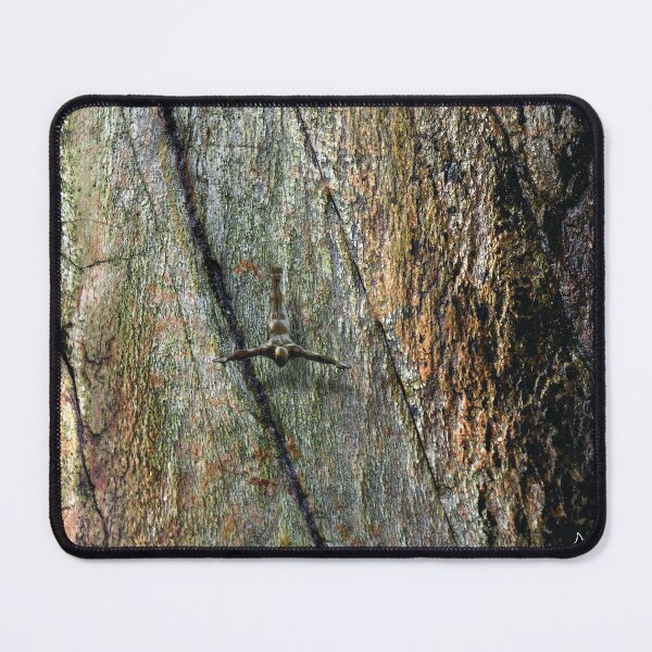 Item preview, Cornish Rock  designed and sold by cornishorigins.