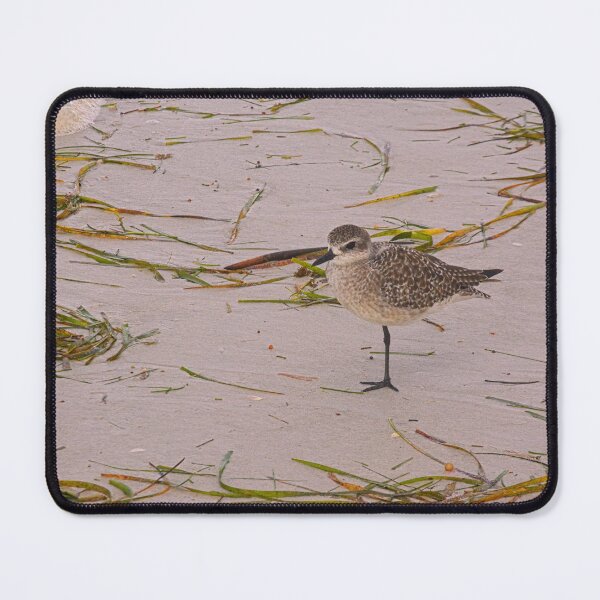 Item preview, Sandpiper On The Beach designed and sold by LisaWootenPhoto.