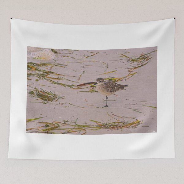 Item preview, Sandpiper On The Beach designed and sold by LisaWootenPhoto.