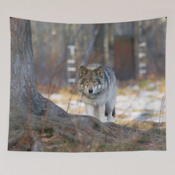 Item preview, Prowler - Wolf designed and sold by Yannik Hay.