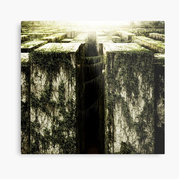 the maze Metal Print