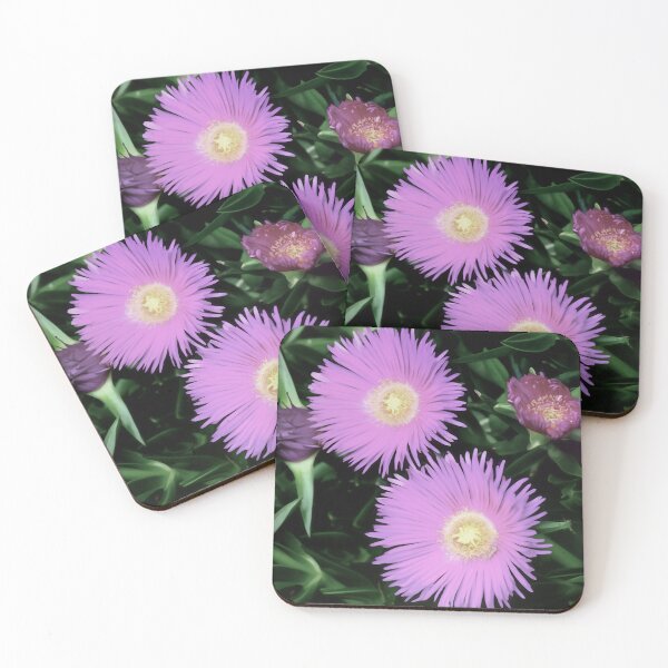 Item preview, Floral Photo with Delosperma Cooperi Pink Flowers designed and sold by ALEX PHOTO DREAMS.