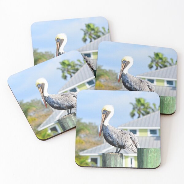 Item preview, Perched Brown Pelican designed and sold by LisaWootenPhoto.