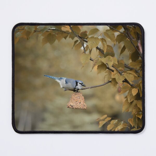 Item preview, Bluejay designed and sold by ladywithacamera.