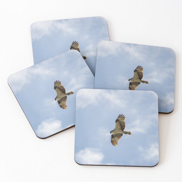 Item preview, Hawk on the Hunt designed and sold by TinyDinoDesigns.