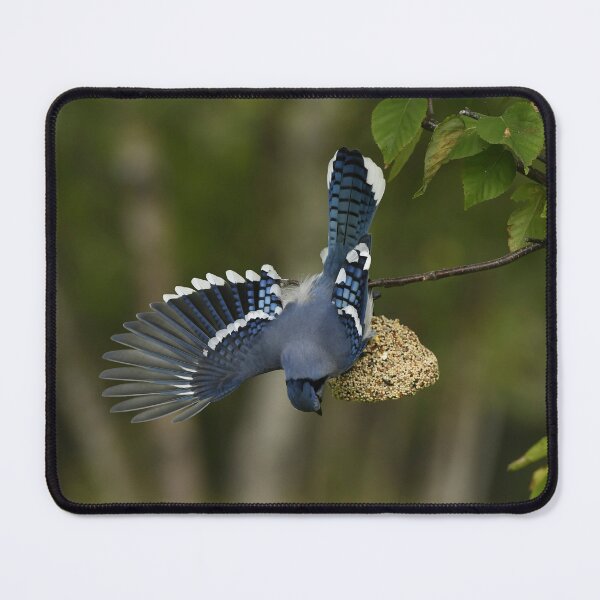 Item preview, Big blue designed and sold by ladywithacamera.