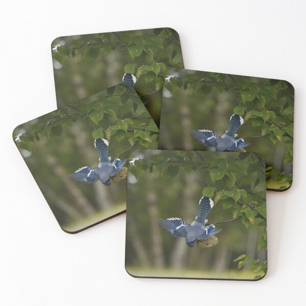 Item preview, Bluejay designed and sold by ladywithacamera.