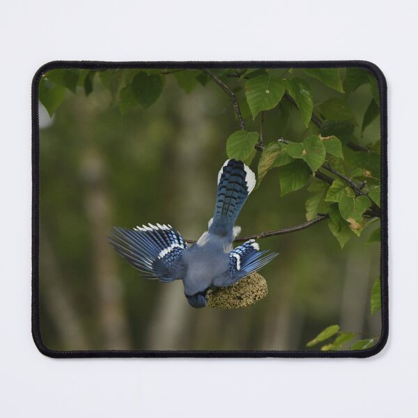 Item preview, Bluejay designed and sold by ladywithacamera.