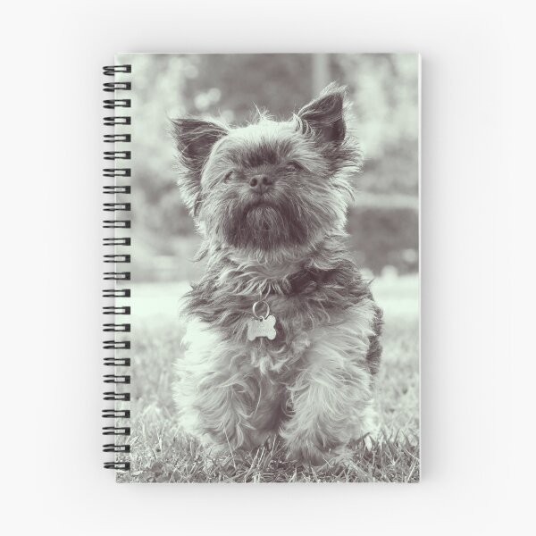 Item preview, B&W Vintage Affenpinscher Dog Print designed and sold by TheWildFlix.