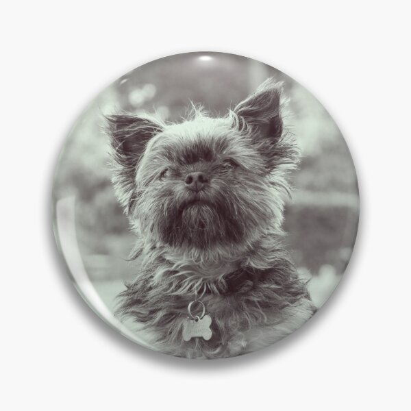 Item preview, B&W Vintage Affenpinscher Dog Print designed and sold by TheWildFlix.