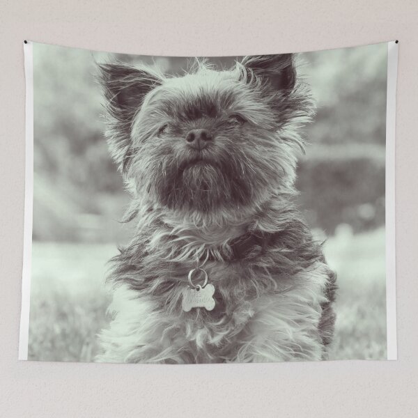 Item preview, B&W Vintage Affenpinscher Dog Print designed and sold by TheWildFlix.