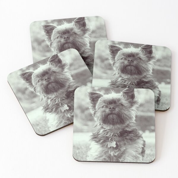 Item preview, B&W Vintage Affenpinscher Dog Print designed and sold by TheWildFlix.
